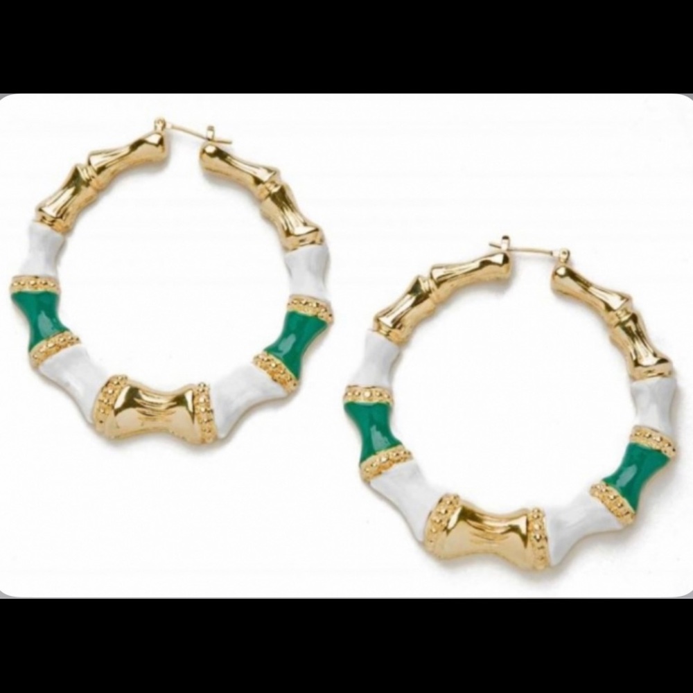 NEW CC SKYE Bamboo Hoop Earrings